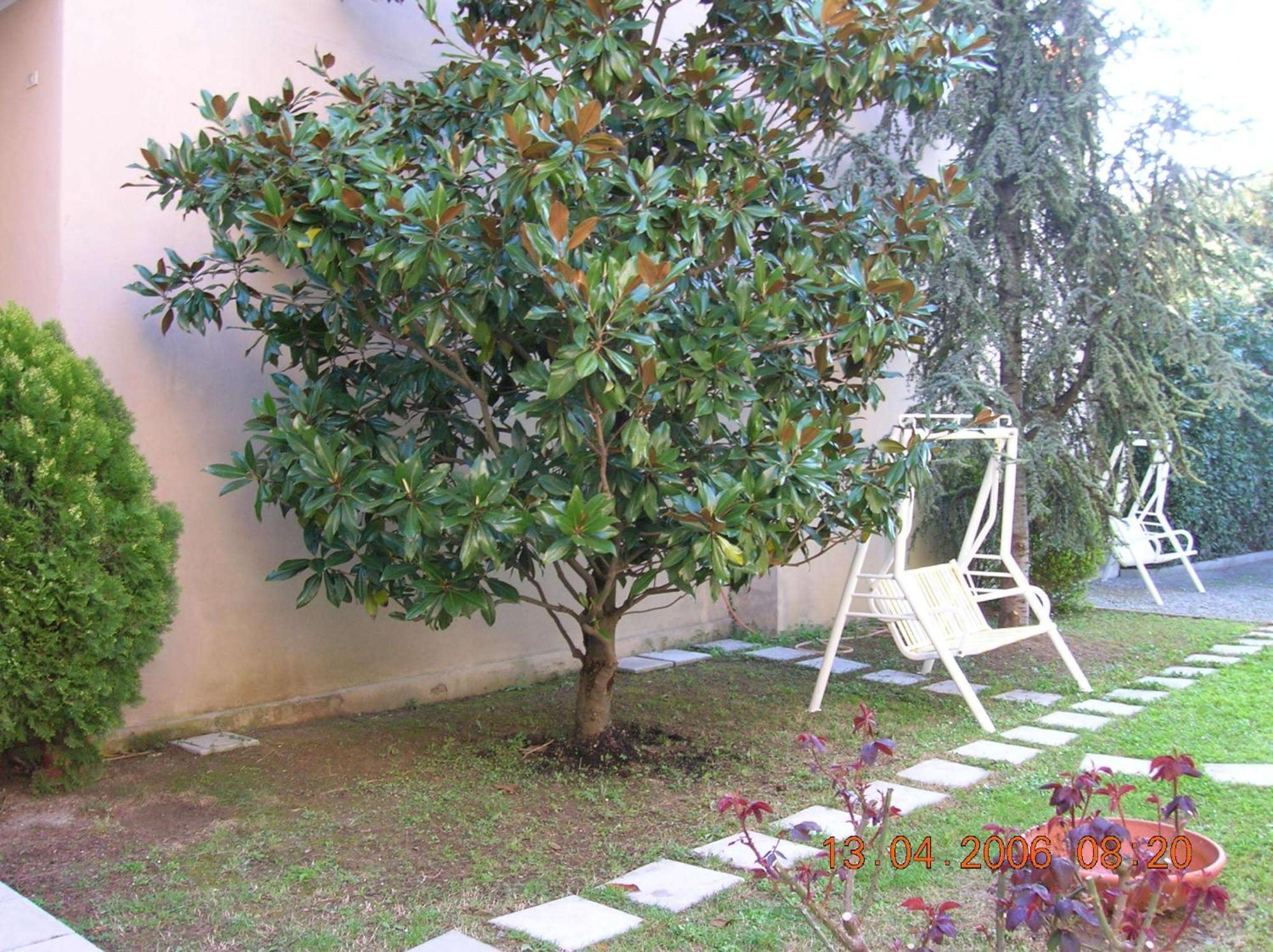 Hotel Trieste Senigallia Zewnętrze zdjęcie